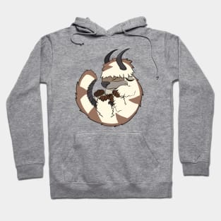 Sleeping Appa Hoodie